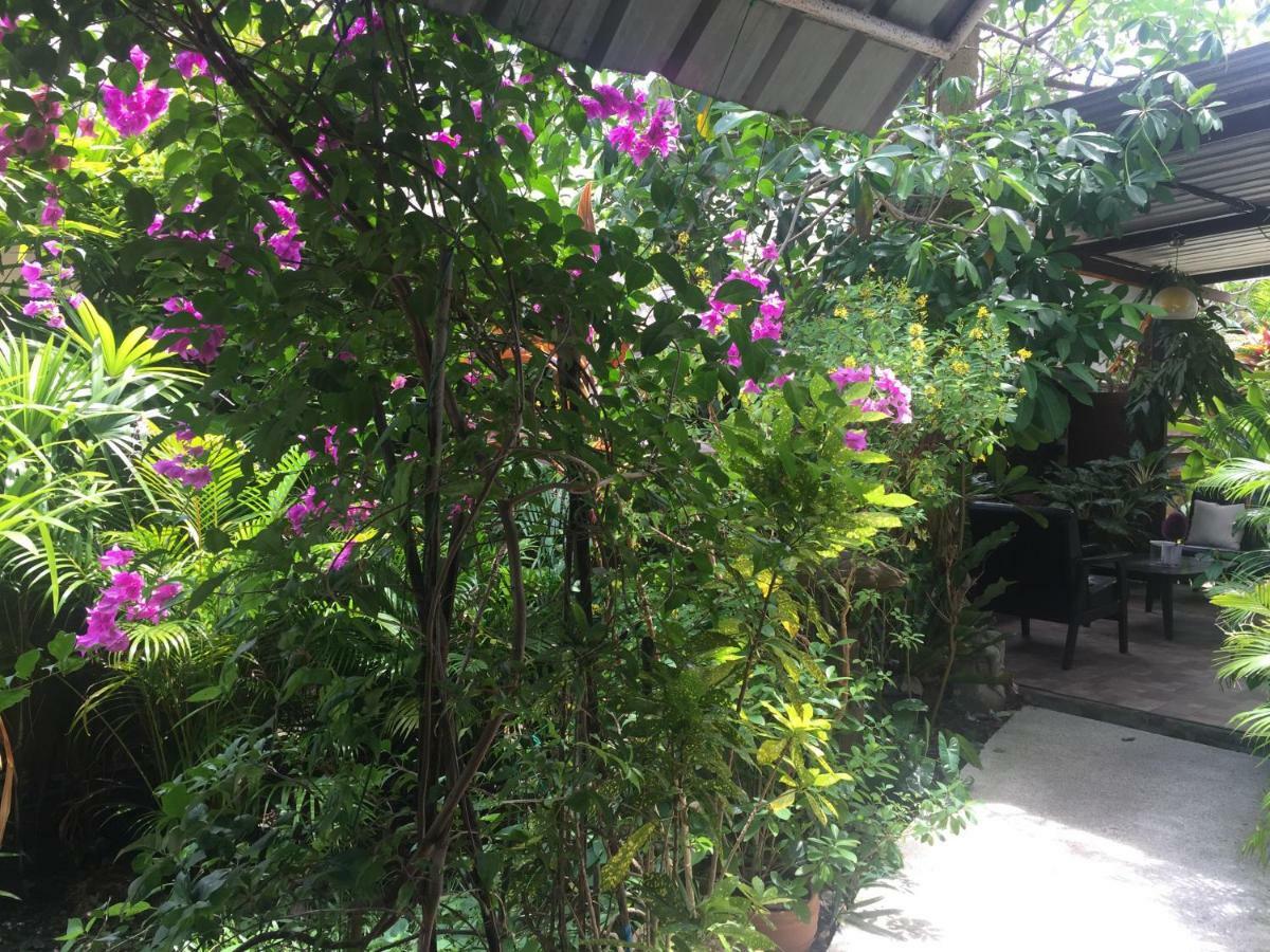 Lemon House Samui Hotel Menam-part Kültér fotó